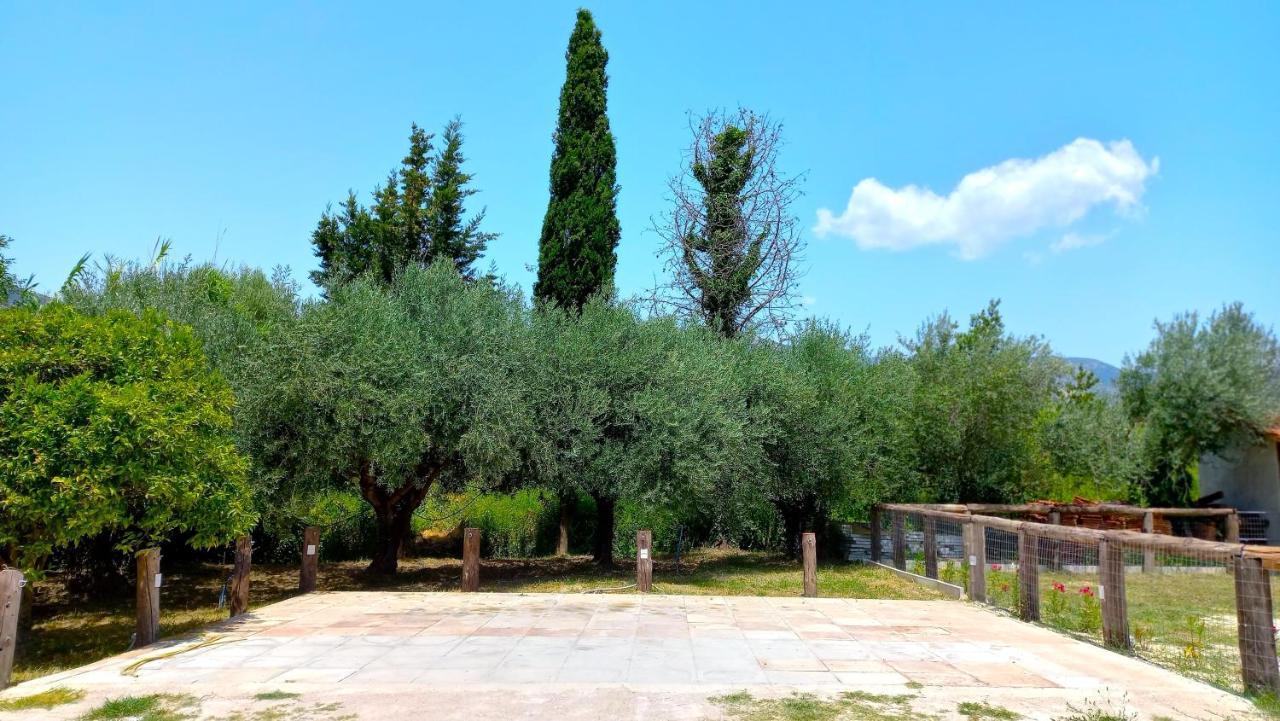 Platanos Villa Vasilikí Buitenkant foto